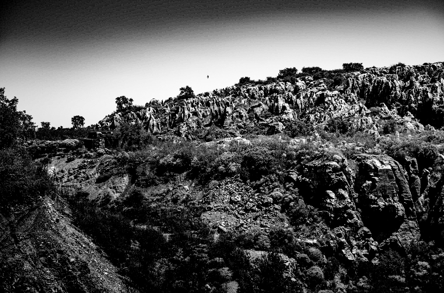 Silent Sentinels: Ancient Ruins Guarding a Rocky Ridge