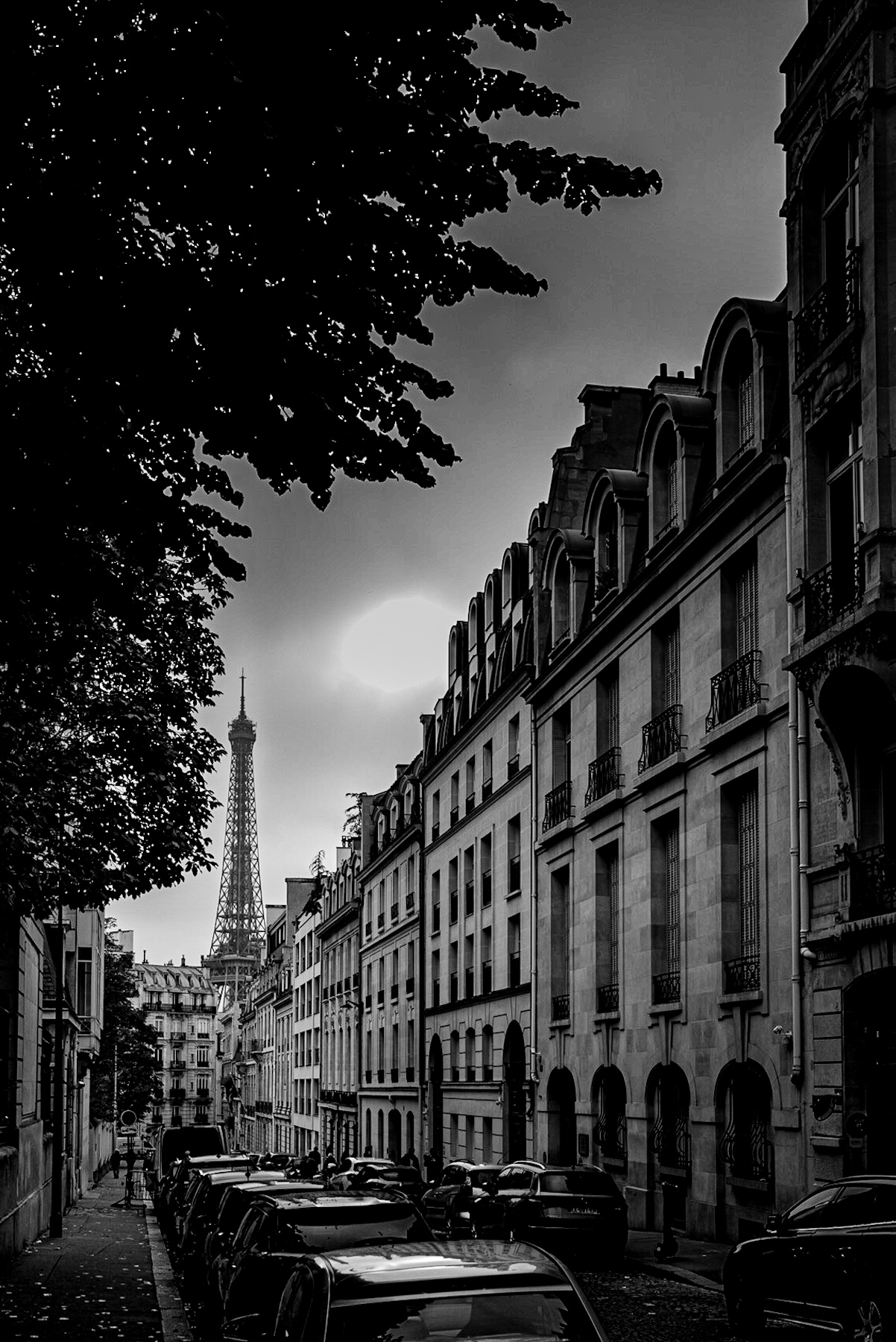 Paris in Monochrome: A Timeless View of the Eiffel Tower and Haussmann’s Legacy