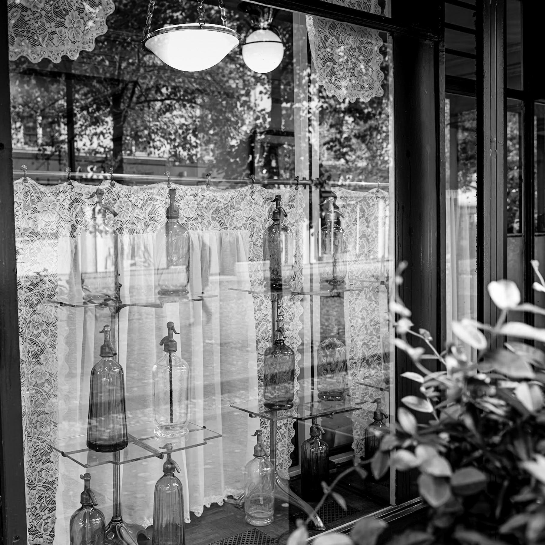 Echoes of Effervescence: The Timeless Appeal of Antique Seltzer Bottles