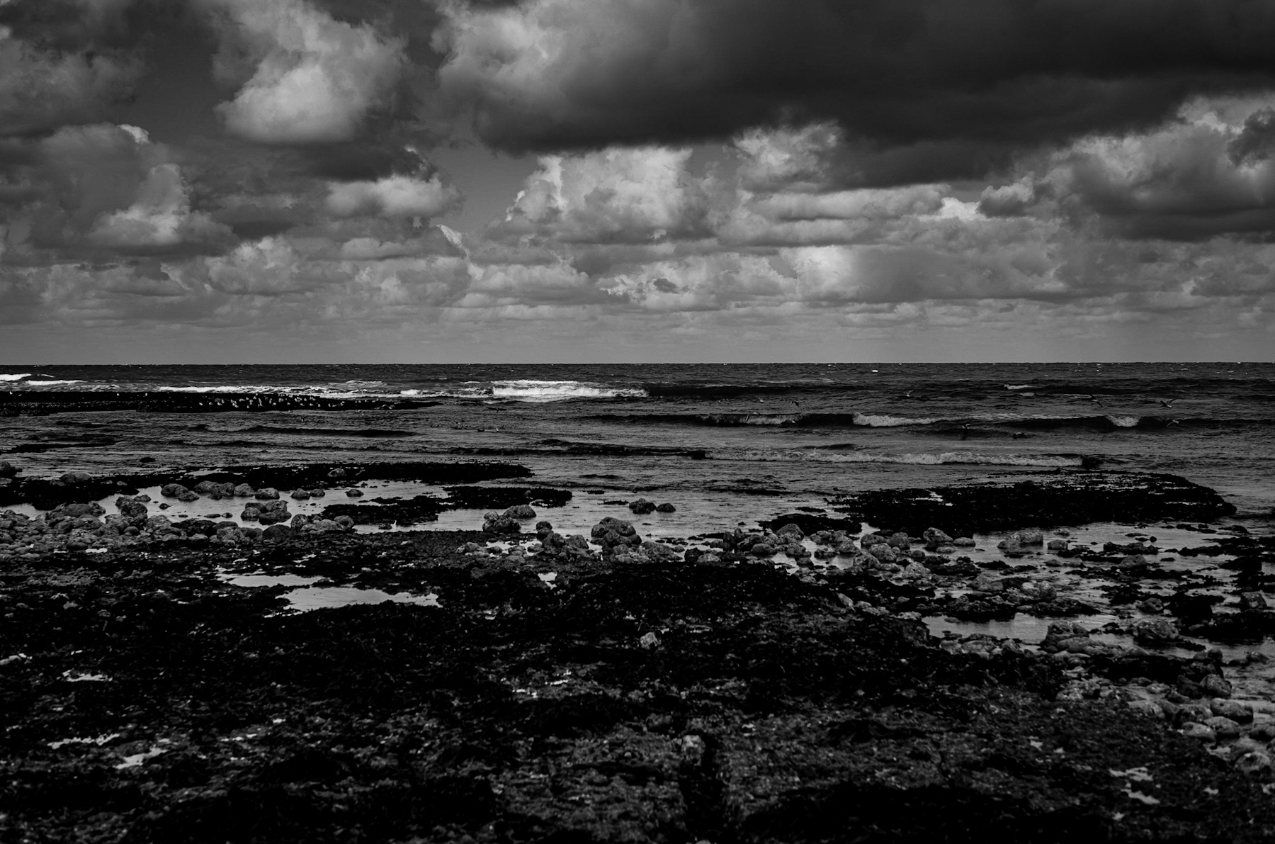 Echoes of Eternity: A Monochrome Journey Through Coastal History