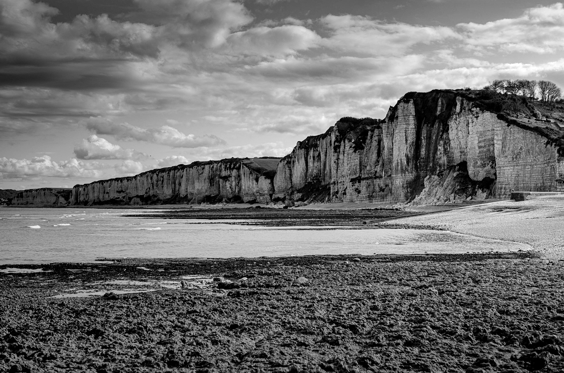 Normandy’s Enduring Majesty: A Monochrome Glimpse into Coastal History
