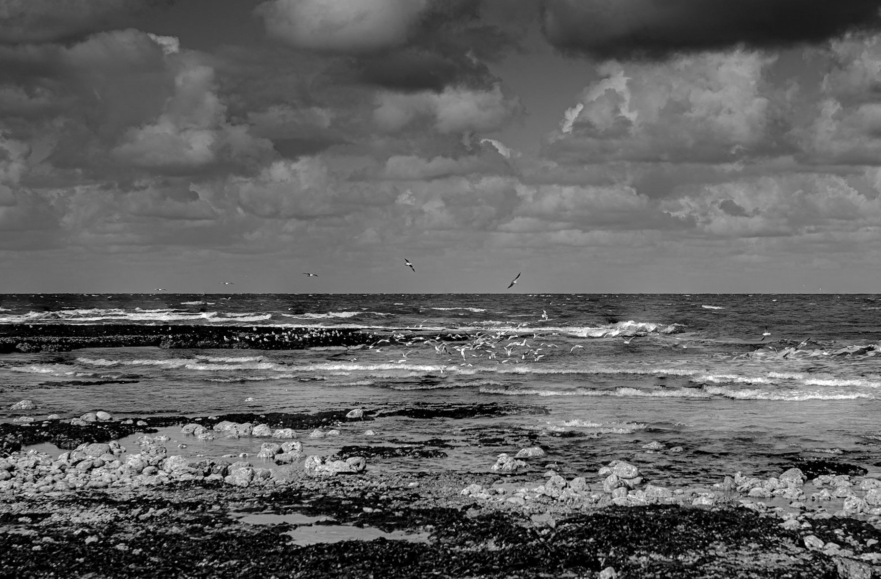 Timeless Tides: Unveiling the Historical Echoes of a Black and White Seascape