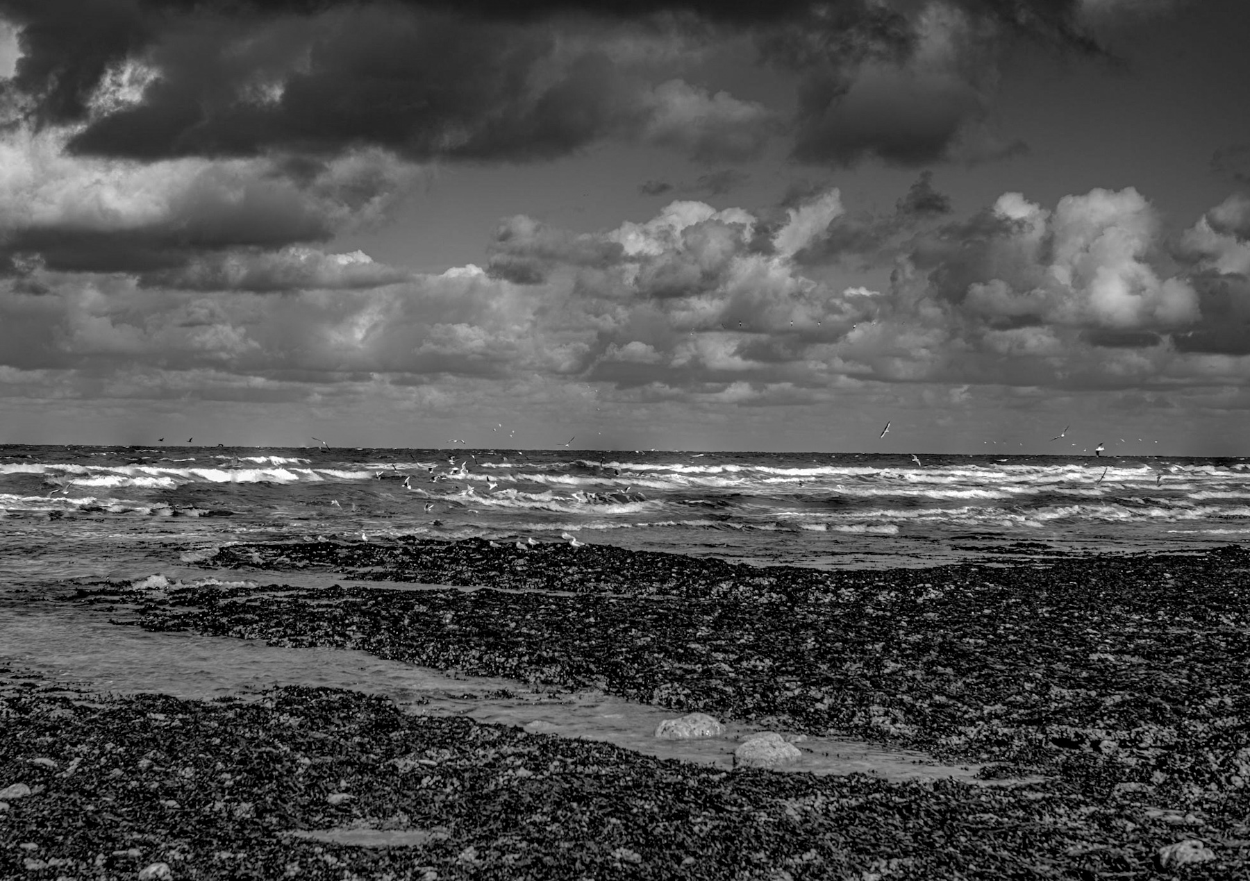 Monochrome Majesty: Echoes of History on a Wild Coastline