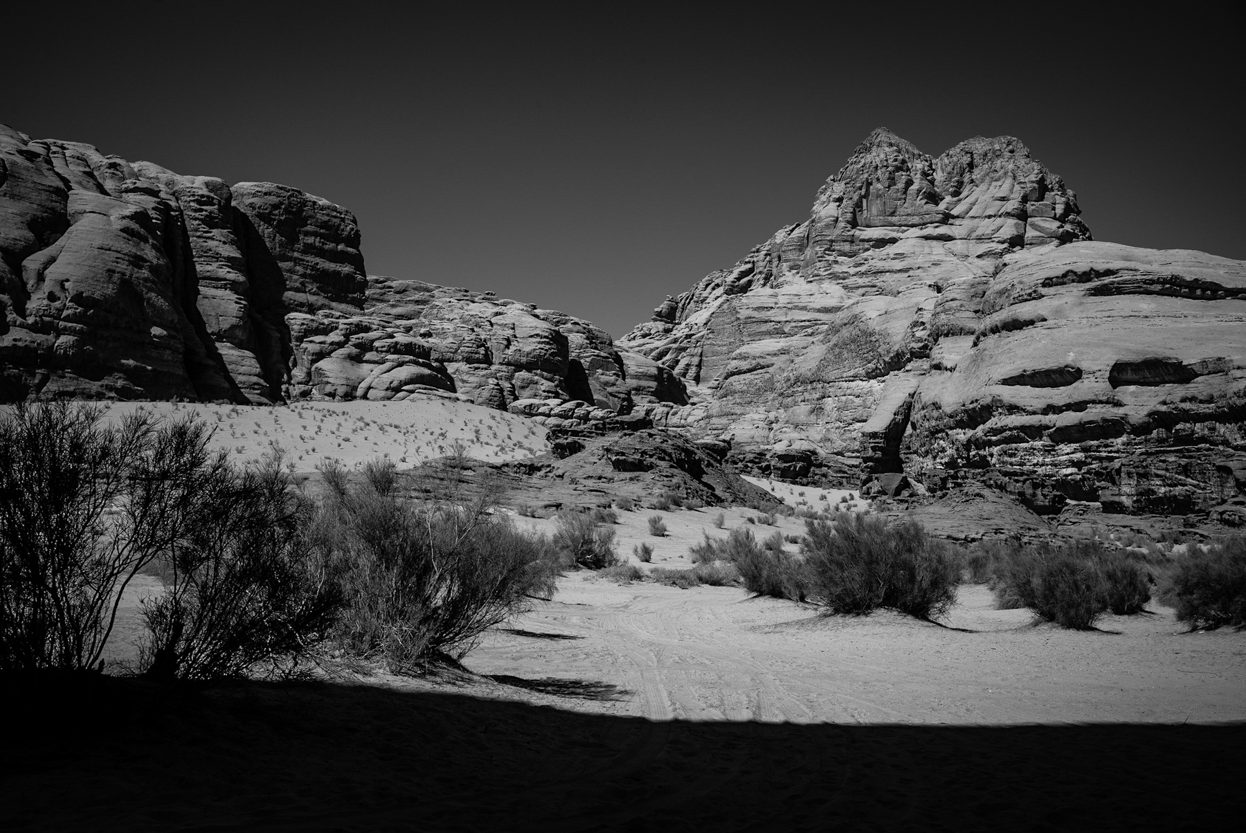 Echoes in Stone: A Journey Through Ancient Desert Vistas