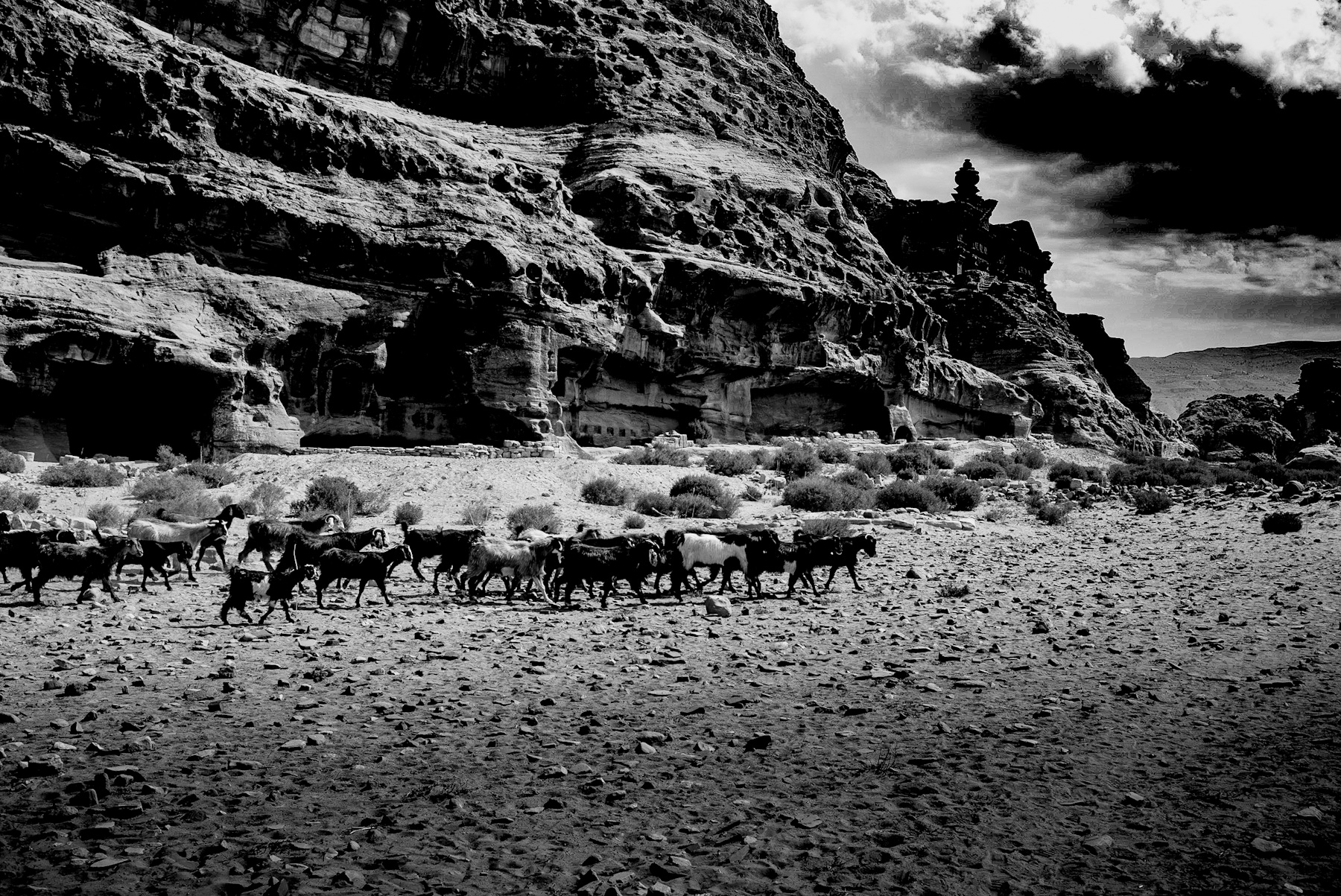 Echoes of the Nabataeans: Where Ancient History Meets Daily Life in Petra