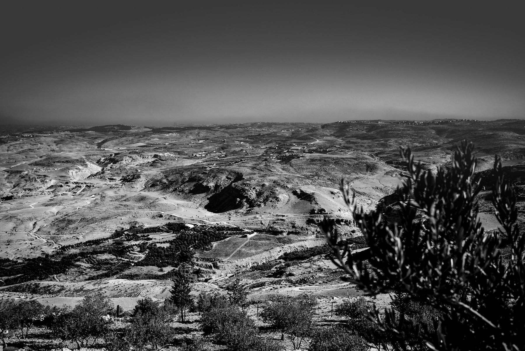 Echoes of Antiquity: Analyzing the Historical Landscape of the Levant