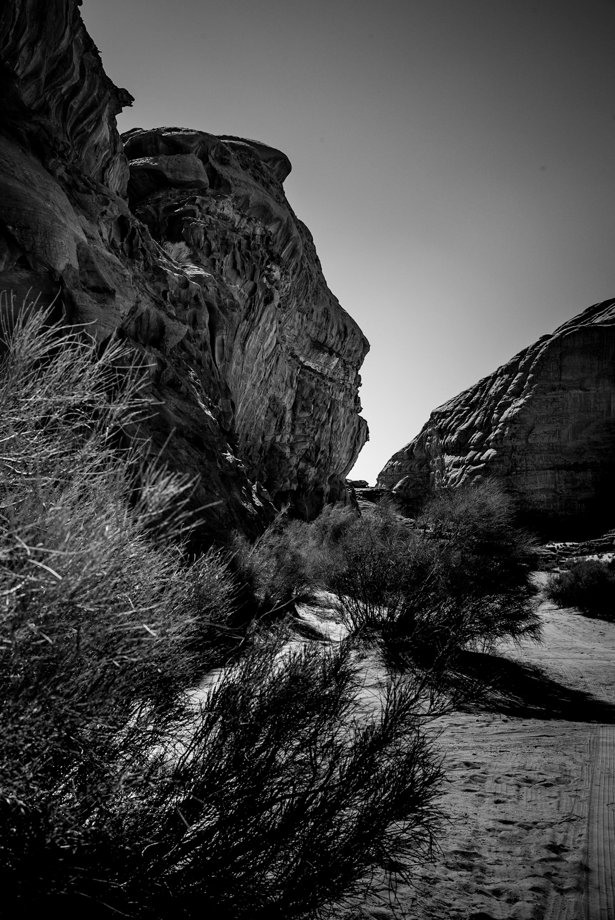 Echoes of the Past: The Historical and Geological Significance of Desert Canyons