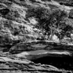 Jordanien 05