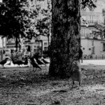 Paris 30
